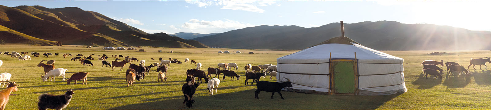Наші партнери в Україні